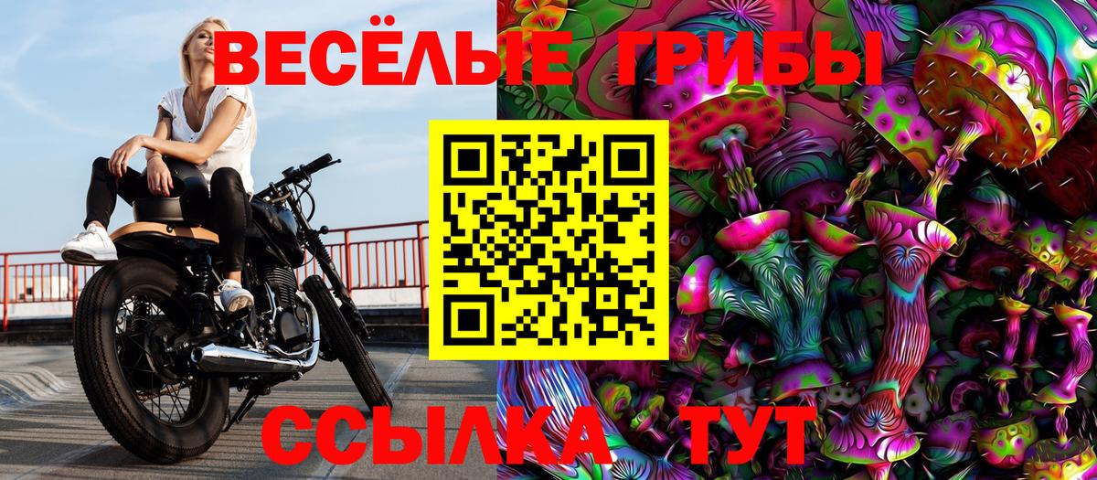 Псилоцибиновые грибы MAGIC MUSHROOMS Ахтубинск