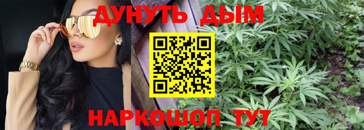 Бошки марихуана семена  Марихуана SATIVA & INDICA  Ахтубинск  Марихуана планчик  Вход с VPN 